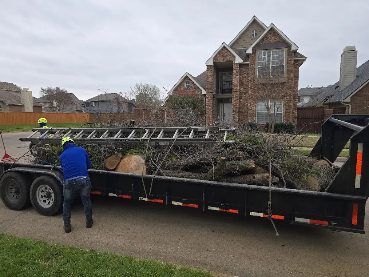 Expert Tree Pest Control with proper safety equipment in Dobbins